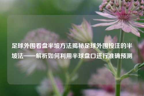足球外围看盘半坡方法揭秘足球外围投注的半坡法——解析如何利用半球盘口进行准确预测