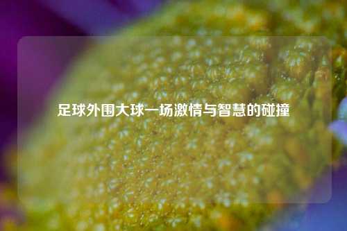 足球外围大球一场激情与智慧的碰撞