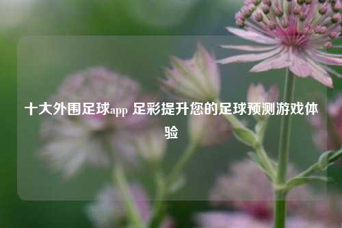十大外围足球app 足彩提升您的足球预测游戏体验