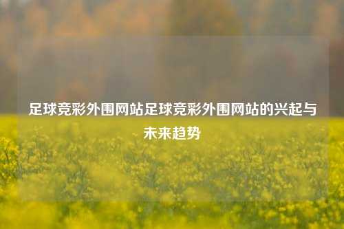 足球竞彩外围网站足球竞彩外围网站的兴起与未来趋势
