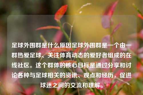 足球外围群是什么原因足球外围群是一个由一群热爱足球、关注体育动态的爱好者组成的在线社区。这个群体的核心目标是通过分享和讨论各种与足球相关的资讯、观点和经历，促进球迷之间的交流和理解。
