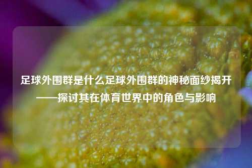 足球外围群是什么足球外围群的神秘面纱揭开——探讨其在体育世界中的角色与影响