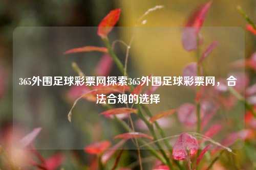 365外围足球彩票网探索365外围足球彩票网，合法合规的选择