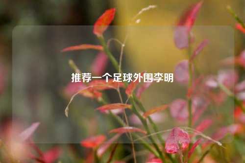 推荐一个足球外围李明