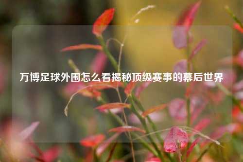 万博足球外围怎么看揭秘顶级赛事的幕后世界