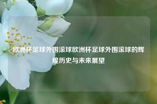 欧洲杯足球外围滚球欧洲杯足球外围滚球的辉煌历史与未来展望