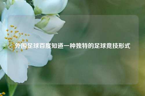 外围足球百度知道一种独特的足球竞技形式