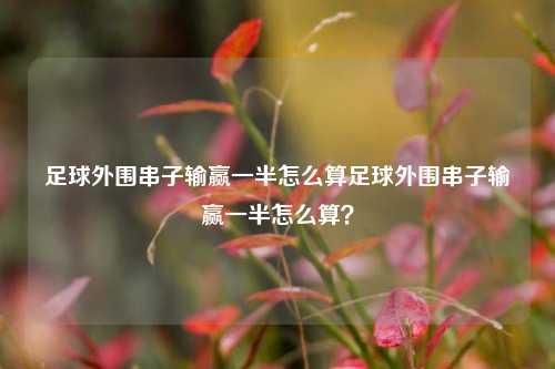 足球外围串子输赢一半怎么算足球外围串子输赢一半怎么算？