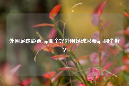 外围足球彩票app哪个好外围足球彩票app哪个好？