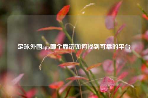 足球外围app哪个靠谱如何找到可靠的平台