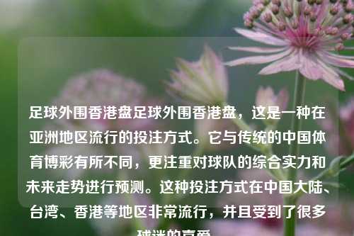 足球外围香港盘足球外围香港盘，这是一种在亚洲地区流行的投注方式。它与传统的中国体育博彩有所不同，更注重对球队的综合实力和未来走势进行预测。这种投注方式在中国大陆、台湾、香港等地区非常流行，并且受到了很多球迷的喜爱。