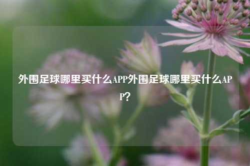 外围足球哪里买什么APP外围足球哪里买什么APP？