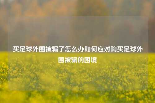 买足球外围被骗了怎么办如何应对购买足球外围被骗的困境