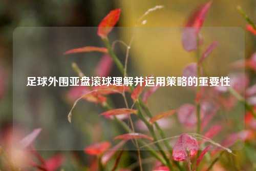 足球外围亚盘滚球理解并运用策略的重要性