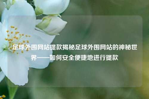 足球外围网站提款揭秘足球外围网站的神秘世界——如何安全便捷地进行提款