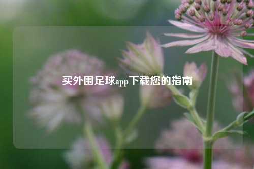 买外围足球app下载您的指南