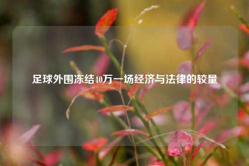 足球外围冻结40万一场经济与法律的较量