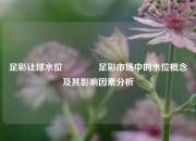 足彩让球水位🏆足彩市场中的水位概念及其影响因素分析
