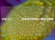足彩-2/2.5🥉足彩投注中的2/2.5解读与策略