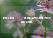 中国足彩多🏅中国足彩市场的现状与发展趋势分析