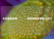 足彩最新彩果👈揭秘高胜率策略与技巧