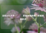 足彩16181大势👈把握市场脉搏，把握胜算机会