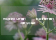 足彩亚盘怎么看盘口🥇足彩亚盘看盘口的技巧与分析