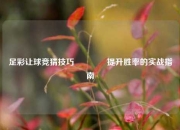 足彩让球竞猜技巧🏆提升胜率的实战指南