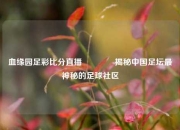 血缘园足彩比分直播👈揭秘中国足坛最神秘的足球社区