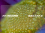 2022071期足彩推荐🎖️把握胜负的关键