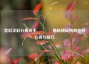 竞彩足彩分析高手🥈揭秘顶级预测者的心得与技巧