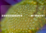足彩好买还是蓝彩好买👉哪个更易中奖？