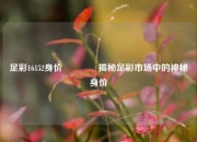 足彩16152身价🌈揭秘足彩市场中的神秘身价