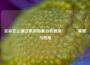 足彩怎么通过凯利指数分析胜负👈策略与应用