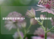 足彩网竞彩官网9月29🏅策略与预测分析