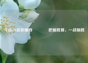 今日310足彩推荐🥇把握胜算，一战制胜