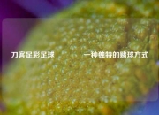 刀客足彩足球👉一种独特的赌球方式