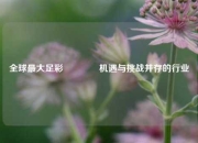 全球最大足彩🥉机遇与挑战并存的行业