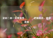 足彩二串一实单推荐🥉把握机会，稳中求胜