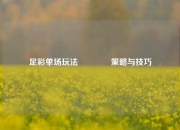足彩单场玩法👉策略与技巧