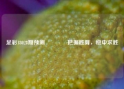 足彩18028期预测👍把握胜算，稳中求胜