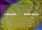 22077期足彩推荐👉揭秘胜负强强对决