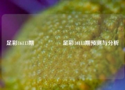 足彩16113期🎖️足彩16113期预测与分析