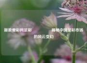 新浪爱彩网足彩🎖️揭秘中国足彩市场的风云变幻