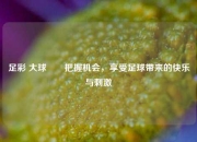 足彩 大球✌️把握机会，享受足球带来的快乐与刺激