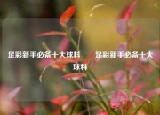 足彩新手必备十大球料✌️足彩新手必备十大球料