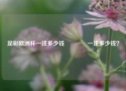 足彩欧洲杯一注多少钱🌈一注多少钱？