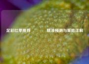 足彩红单推荐👍精准预测与策略详解