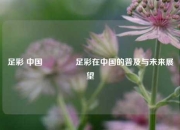 足彩 中国👉足彩在中国的普及与未来展望