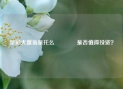 足彩大富翁是托么👍是否值得投资？